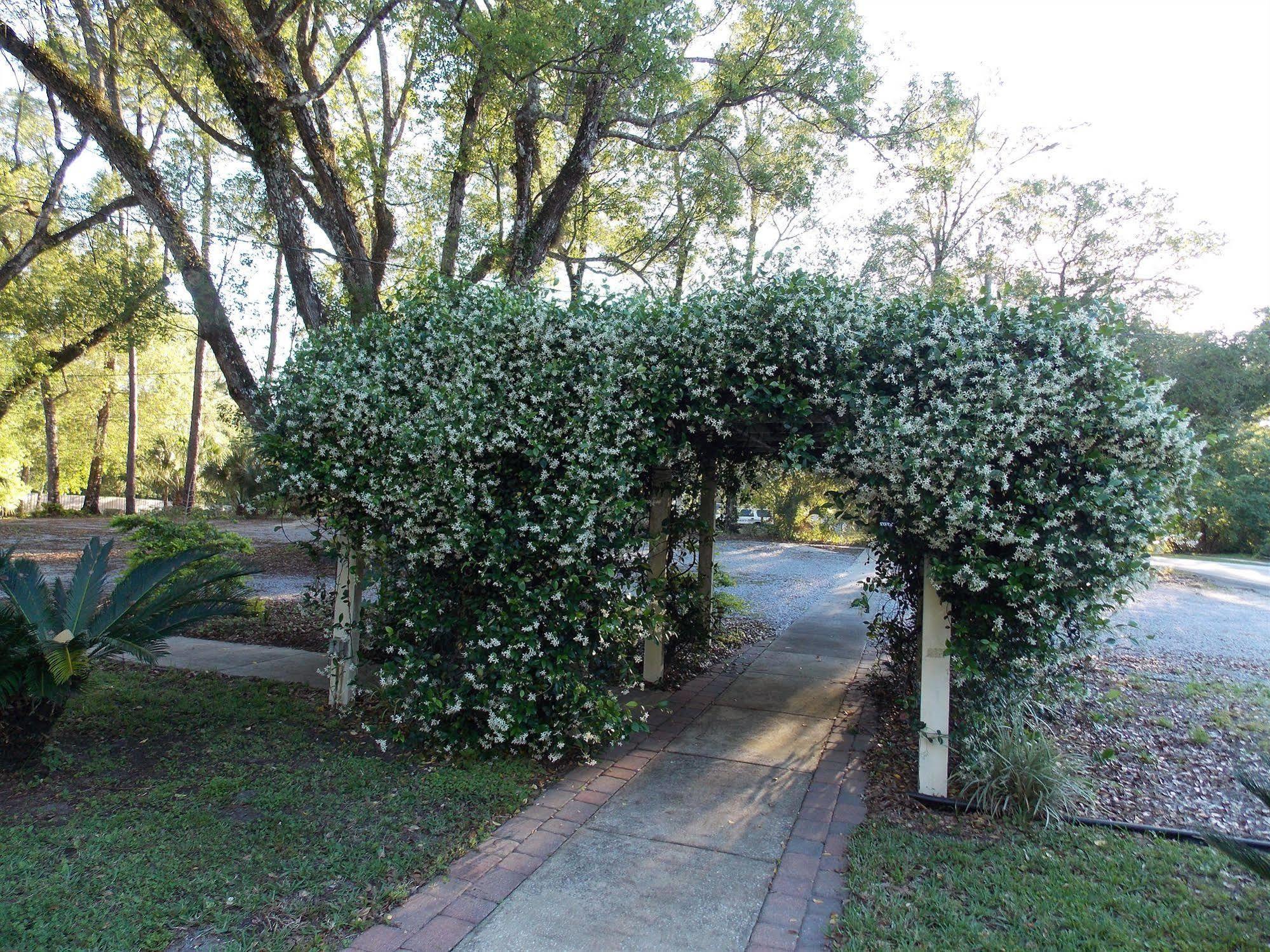 The Ann Stevens House Bed and Breakfast Cassadaga Buitenkant foto